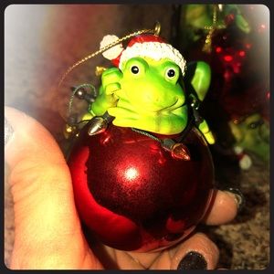 Frog bulb ornament set